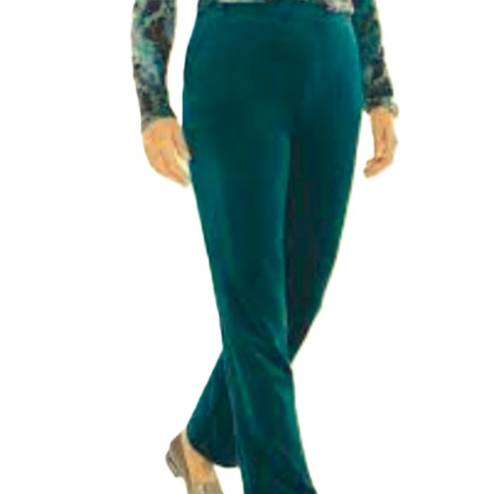 Chicos velour pull on pants size 0